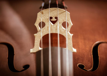 Contemplating Bridges